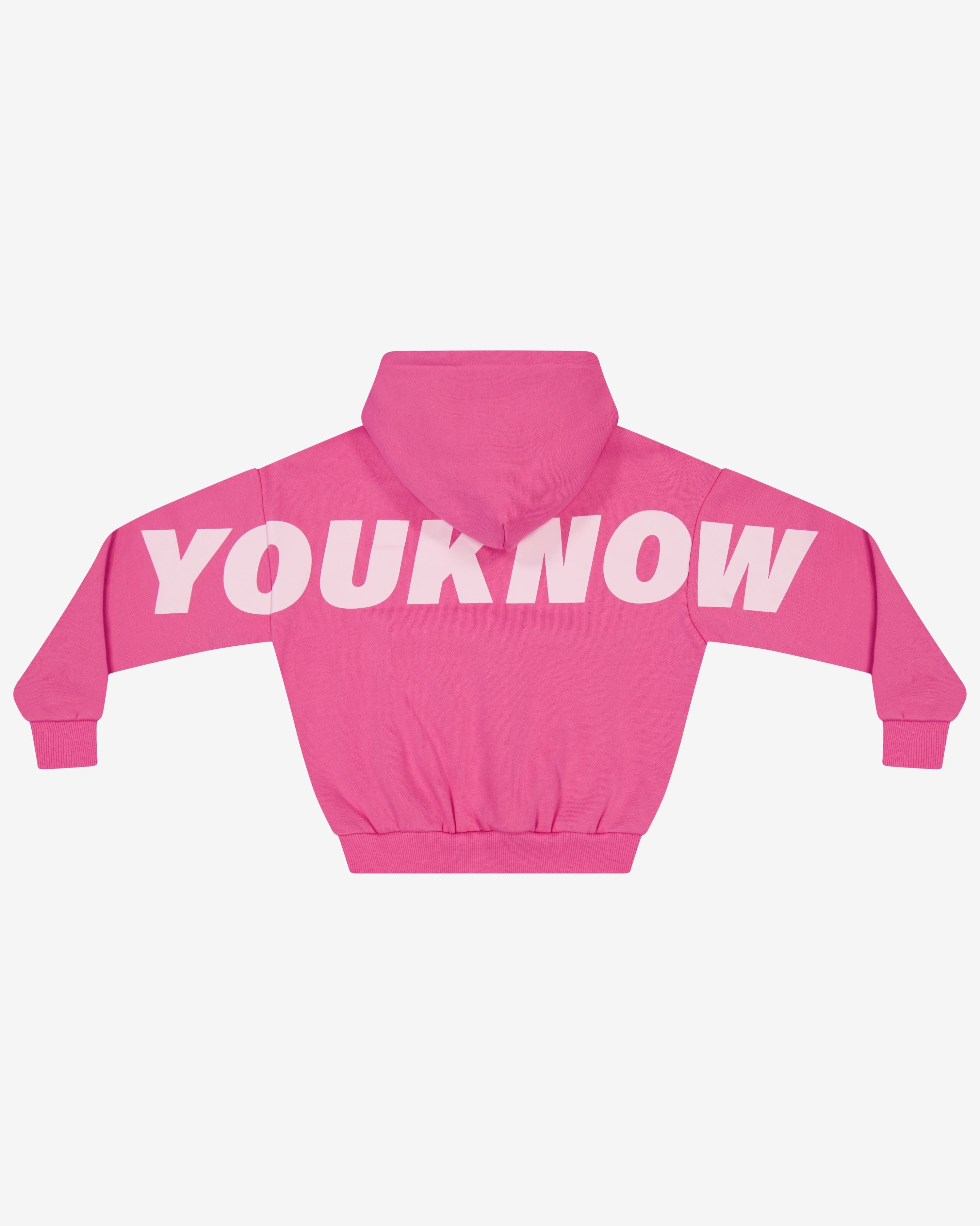 Big Back Hoodie | Pink